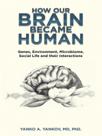 How Our Brain Became Human: Genes, Environment, Microbiome, Social Life and Their Interactions