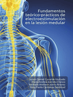 Fundamentos teórico-prácticos de electroestimulación en la lesión medular