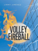 Volleyfireball