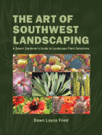 The Art of Southwest Landscaping