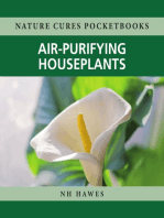 Air-purifying Houseplants