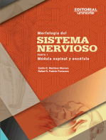 Morfología del sistema nervioso: Parte 1: médula espinal y encéfalo