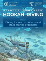 A Practical Guide on Safe Hookah Diving: Diving for Sea Cucumbers and Other Marine Organisms