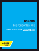 Bonobo: The Forgotten Ape