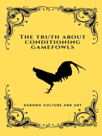 The Truth About Conditioning Gamefowls