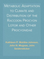 Metabolic Adaptation to Climate and Distribution of the Raccoon Procyon Lotor and Other Procyonidae