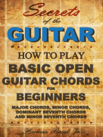 Guitar Chords - Learn how to play Basic Open Guitar Chords for Beginners - Secrets of the Guitar