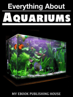 Everything About Aquariums