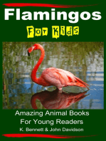 Flamingos For Kids: Amazing Animal Books For Young Readers