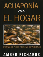 Acuaponía en el hogar