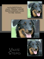 Understand and Train Your Beauceron Dog to Be Good