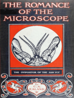 The Romance of the Microscope