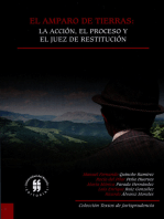 El amparo de tierras: la acción, el proceso y el juez de restitución