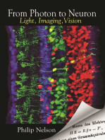 From Photon to Neuron: Light, Imaging, Vision