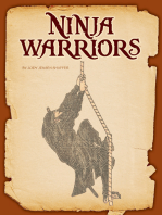 Ninja Warriors