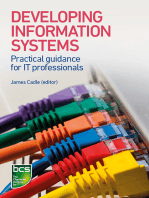 Developing Information Systems: Practical guidance for IT professionals