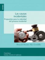 Las causas incidentales: Propuestas para la celeridad del proceso incidental