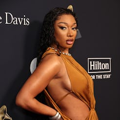 Megan Thee Stallion attends the 66th GRAMMY Awards Pre-GRAMMY Gala ahead of wearing plunging dress a...