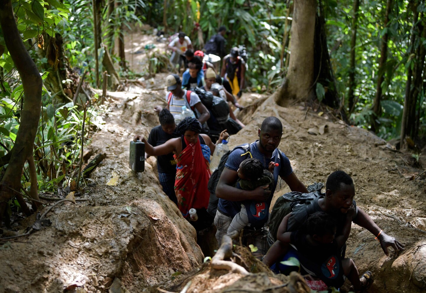 Crisis migratoria - haitianos cruzando la selva