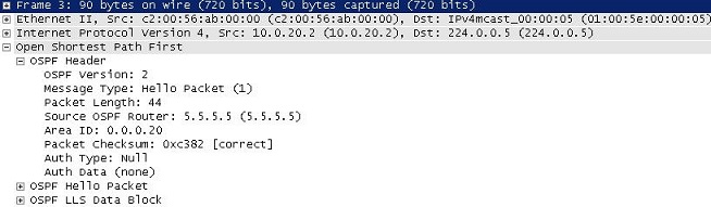 OSPF (Open Shortest Path First) Header