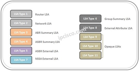 lsa-types-of-ospf-k