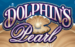 logo dolphins pearl novomatic slot online 