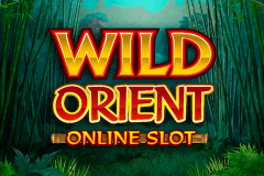 logo wild orient microgaming slot online 