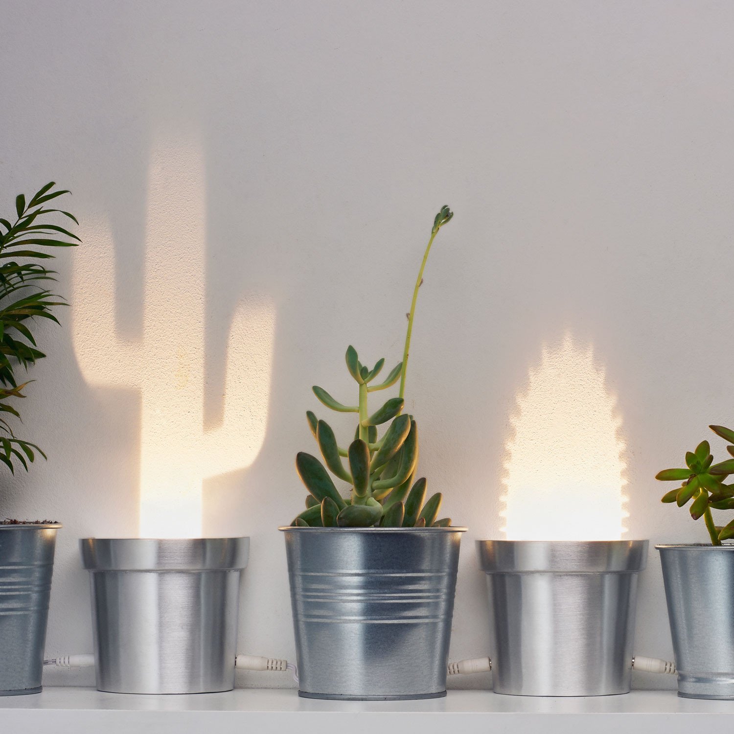 A Set of Three Cactus Lamps in Three Different Shapes Made Aluminum ...