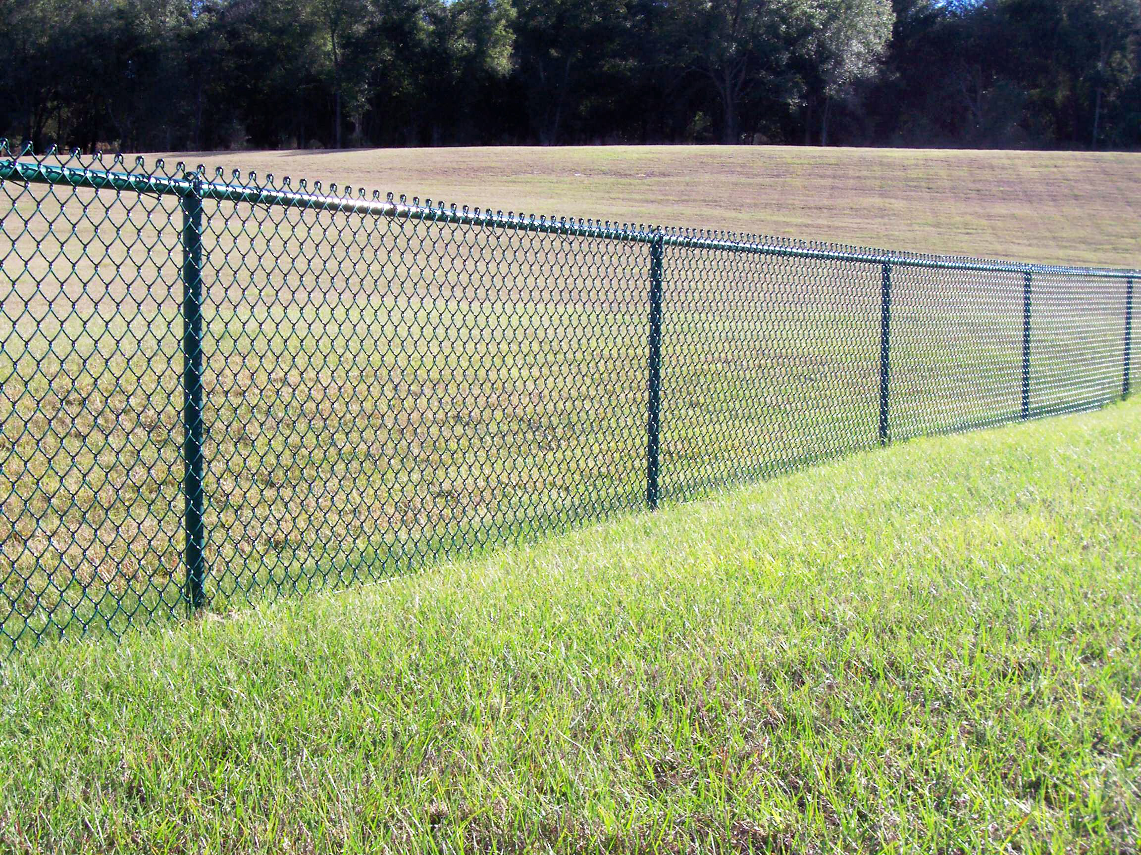 chain_link_fence_1.jpg