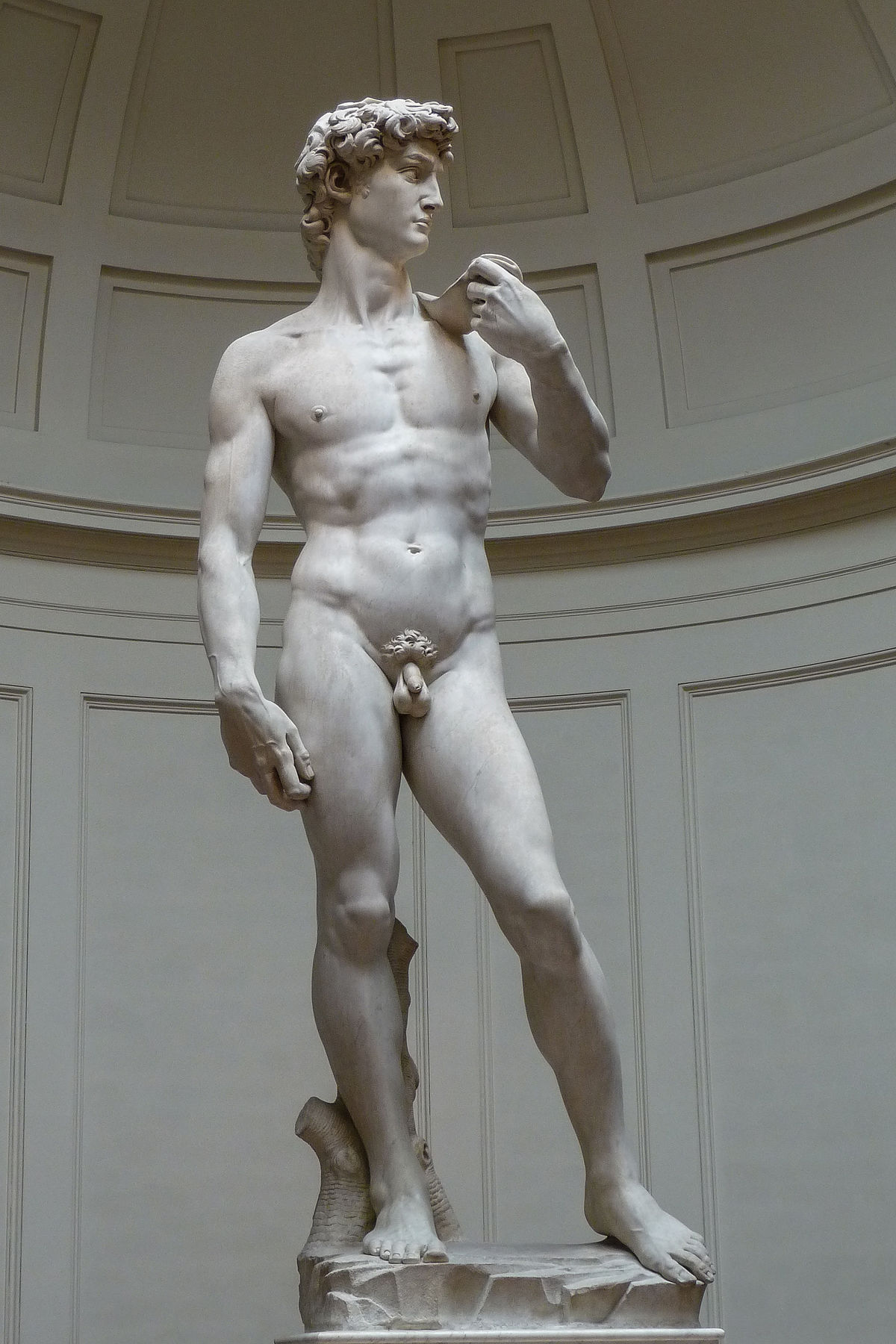 David (Michelangelo) - Wikipedia