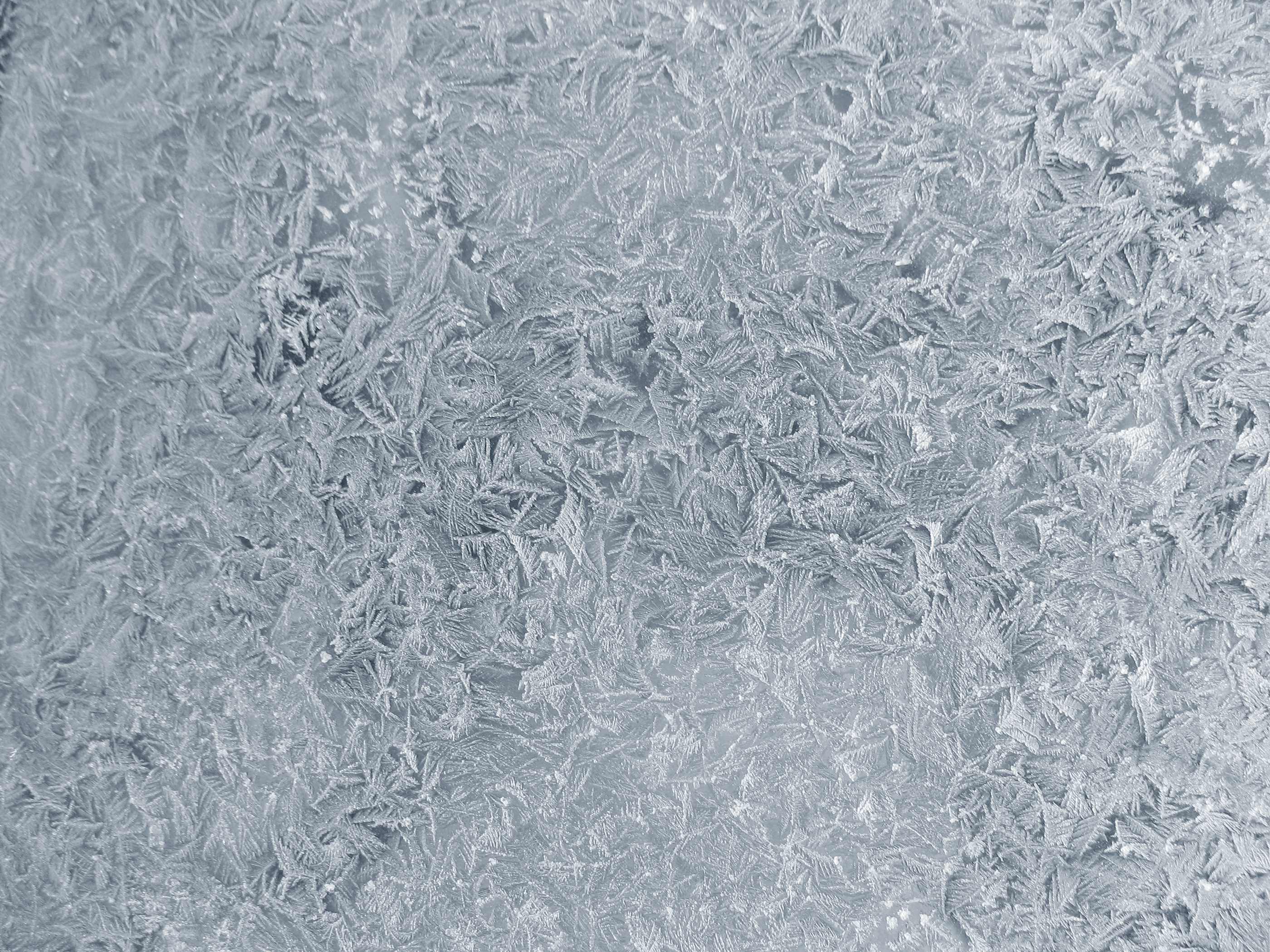 Frost Texture