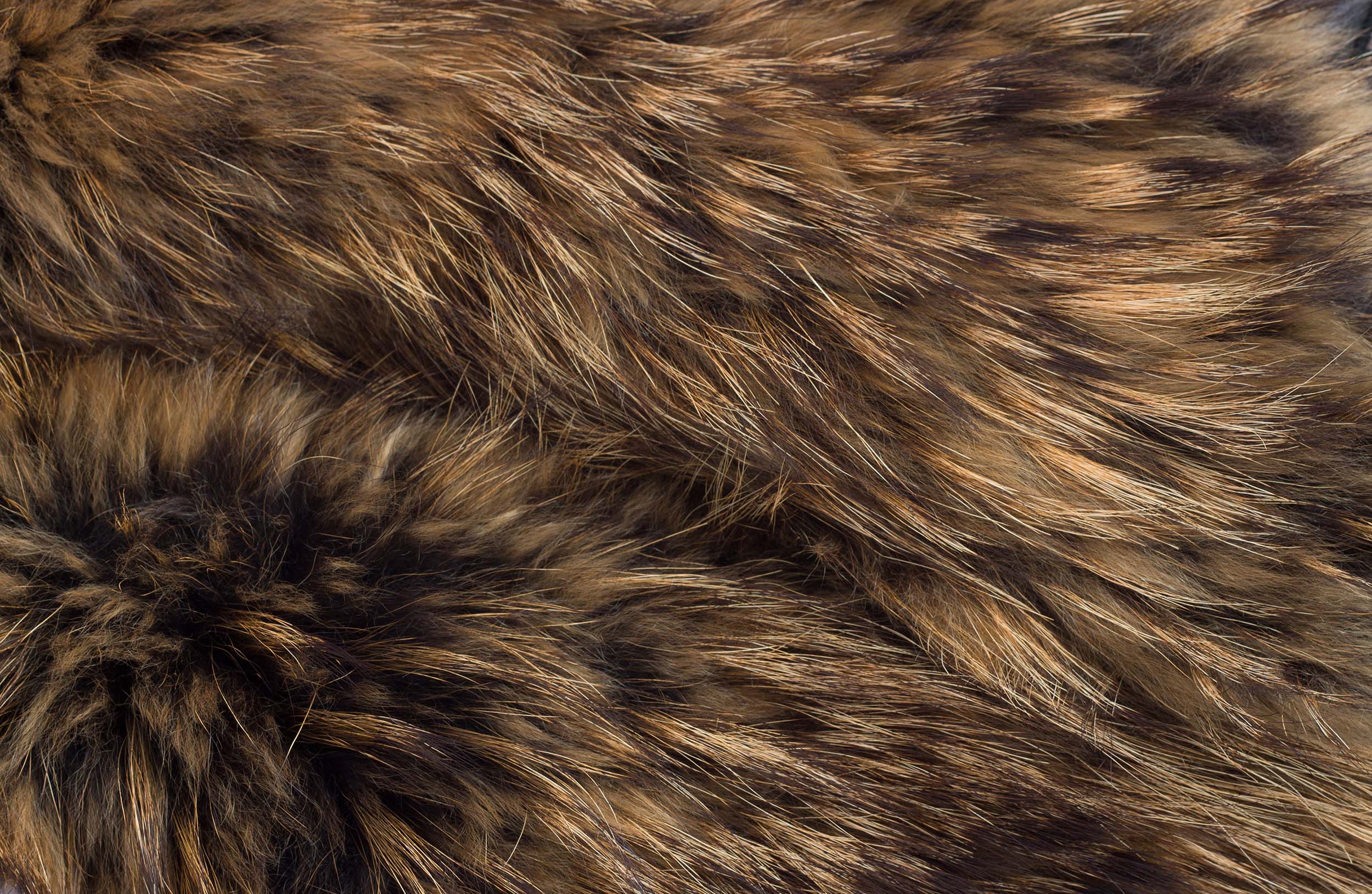 Pat Flesher Furs