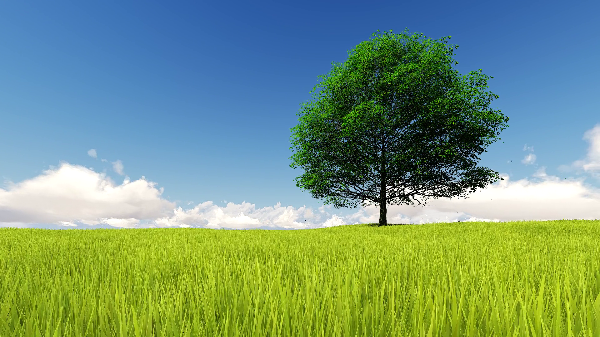 Landscape Single Tree with wind Animation Motion Background ...