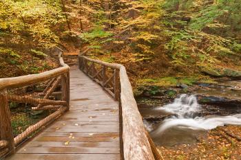 Autumn Boardwalk Bridge