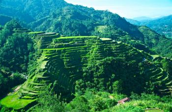 Banaue Rice Terraces