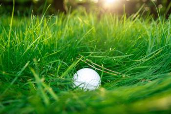 Golf ball in high grass