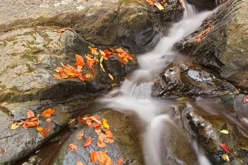 Glen Artney Stream - HDR