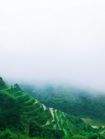 Green Rice Terraces With Foggy Weather