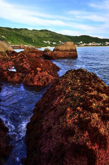 Entre las rocas de Praia Brava