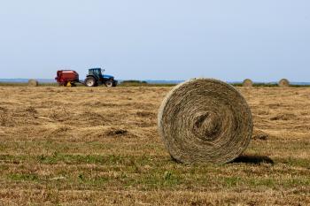 Farming