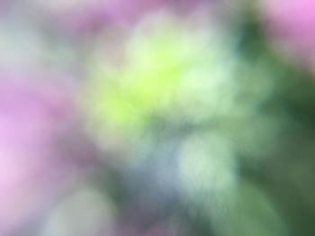 Free texture - Lilac bokeh