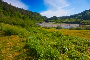 Fundy Park Scenery - HDR