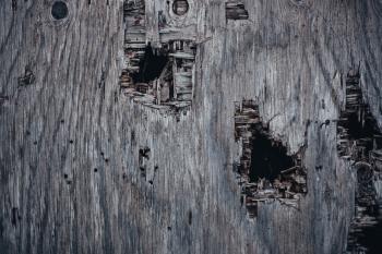 Holed Grunge Wood Texture