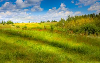 In the countryside