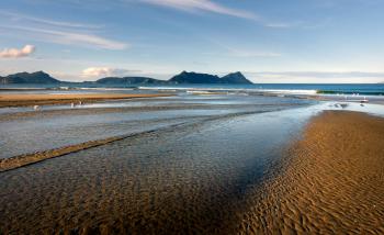 Low tide at the beach.