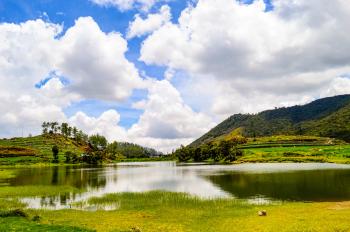 Landscape Photography of Lake