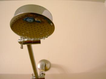 Shower head