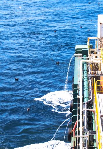 Side of cargo ship with birds in water