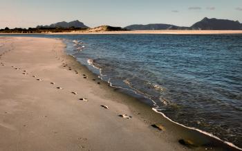 Stranger on the Shore.