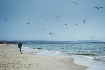 Walking by the sea